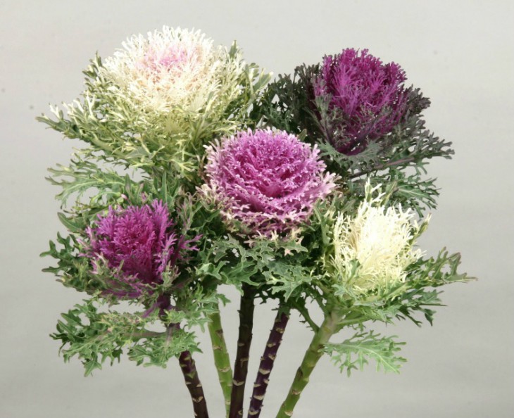 0398_アンサンブル