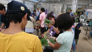 ABABA_Summer_event_2018_2